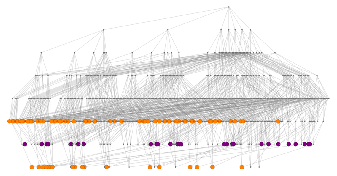 Stephen Wolfram 作为多重计算系统的游戏和谜题 (2022) | 译介